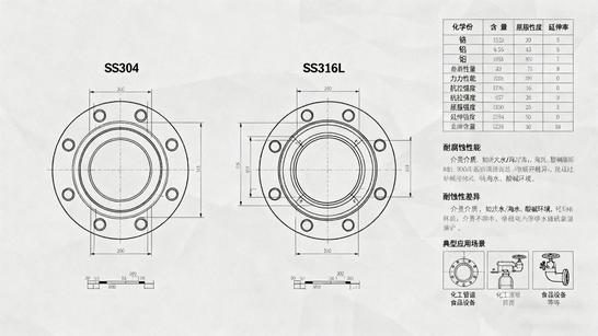Stainless Steel Flanges: SS304 vs SS316L